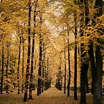 Kredytowa Warszawa