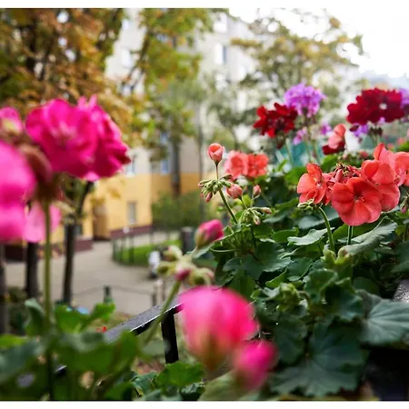 Kredytowa Апартаменты